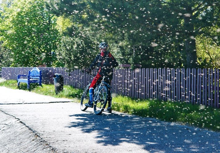 5 spôsobov, ako sa na bicykli chrániť proti hmyzu