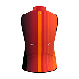 PLUS 2.0 INEOS GRENADIERS 2024