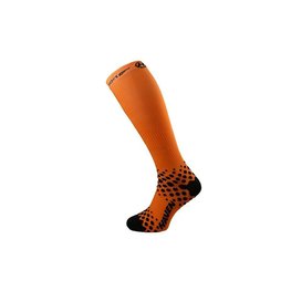 EVOTEC COMAX
