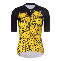 CHEETAH II