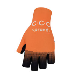CCC 2020
