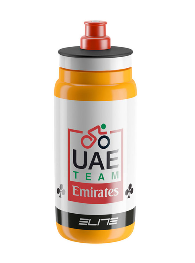 UAE 2017 
