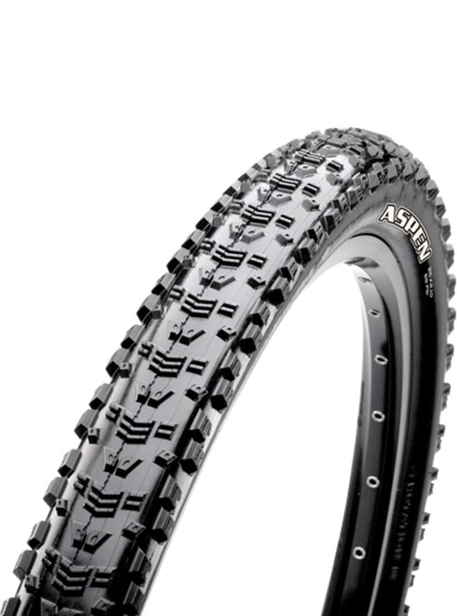 ASPEN 29x2,40