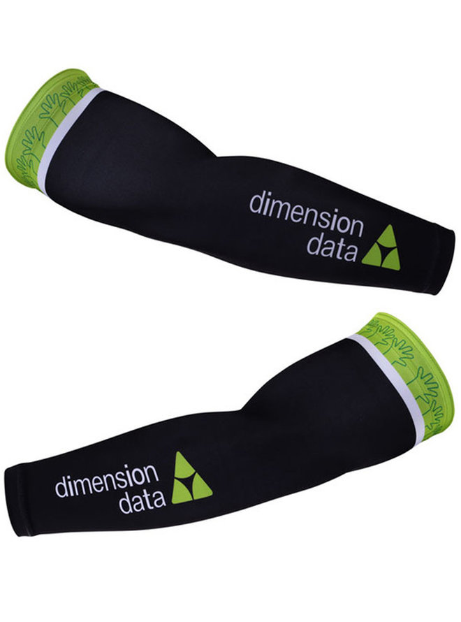 DIMENSION DATA 2018