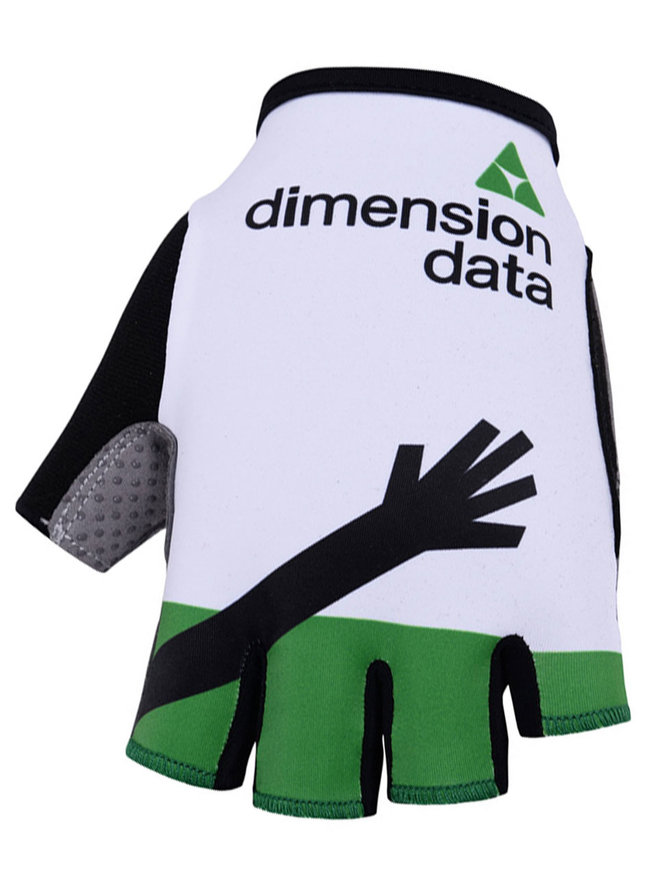 DIMENSION DATA 2019