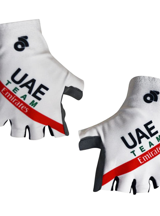 UAE 2019 